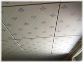 Mid-Century Fiberboard Ceiling Tiles