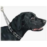 Precision Prong Training Collar
