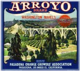 Arroyo Seco Citrus Bridge Art Print