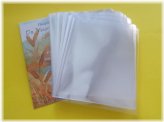 Clear Cello Envelopes and Sleeves Set