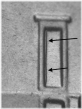 Doubled Die Jefferson Nickel - 2023 P WDDR-100 Ch/Gem BU Uncirculated