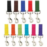 Nylon Dog Leash Collection by Casual Canine