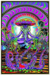 Midnight Glow Art Print