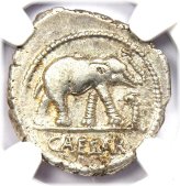 Julius Caesar Silver Elephant Denarius Coin - 49 BC
