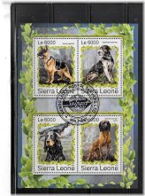 Sierra Leone Canine Collection