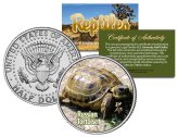Russian Tortoise and Horsfield Turtle Colorized Coin Set