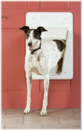 Pawsome Passage Smart Pet Door