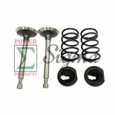 Predator Valve Spring Kit