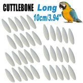 Calcium-Rich Cuttlefish Bone for Birds