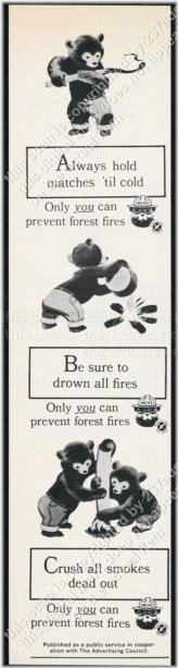 Wildfire Prevention Heritage Print