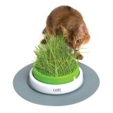 Green Paws Planter