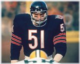 Chicago Bears Legend 8x10 Glossy Photo