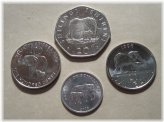 Safari Elephant Coin Collection