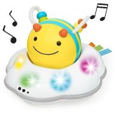 Busy Bee Crawl Companion