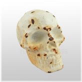 Rustic Iron Human Skull Figurine