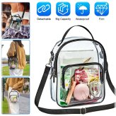 Translucent Tote Crossbody