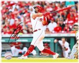 Reds Slugger Autographed 8x10 Photo