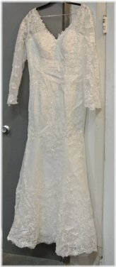 Elegant Lace Sleeve Gown