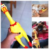Squeaky Chicken Chew Toy