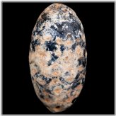 Agate-Replaced Eocene Pine Cone Fossil