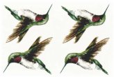 Hummingbird Haven Decals