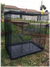 Cozy Haven Multi-Level Habitat