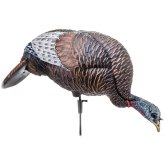 Thunder Chick Feeder Hen Decoy