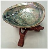 Aurora's Hearth: Abalone Shell and Sage Kit