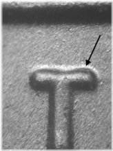 Doubled Die Jefferson Nickel from 2023 P WDDR-116