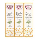 Pure Zen Peppermint Toothpaste by Burt's Bees