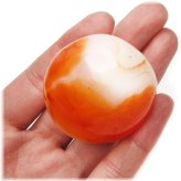 Sunset Wings Collection