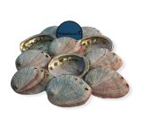Crimson Tide Abalone Shells Trio