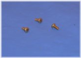 Alto Sax Keyguard Kit: Enhance Your Performance with Secure Brass Screws