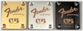 Personalized Plate for Your Fender Guitar