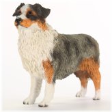 Blue-Coated Australian Shepherd Statue