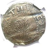 Massachusetts Oak Tree Silver Shilling - Certified NGC AU Detail