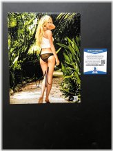 Golden Ace Autograph Collection