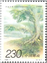 Cycas Plants Multipinnata Stamp