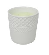 Sugared Citrus & Gardenia Luxury Candle