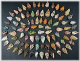 Flint Arrowhead USA Collection