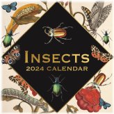 Insect Kingdom 2024 Wall Calendar