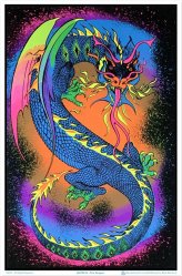 Dragon's Inferno - Glow-in-the-Dark Wall Art 23-by-35 Inches