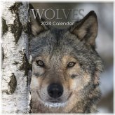 Wolf Wilderness 2024 Calendar