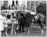 Champion's Pride Photo Print