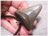 Ancient Megalodon Tooth Pendant