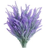 Lavender Fields Collection