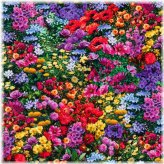 Blossom Fields Cotton Fabric