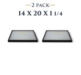 Collector's Showcase Box