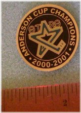 Championship Hockey Pin