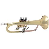 The Golden Tone Bb Flugelhorn by Bach - FH600 Aristocrat Series